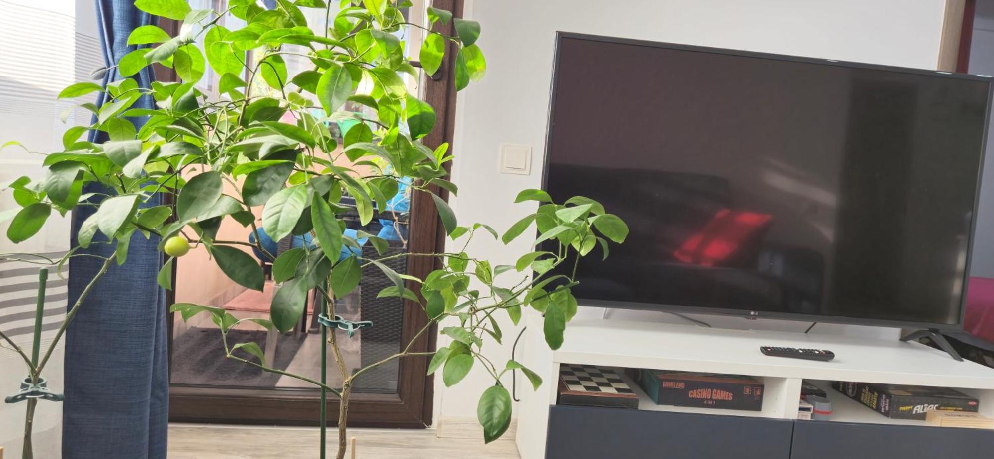 Littlebig Apartment 부쿠레슈티 외부 사진